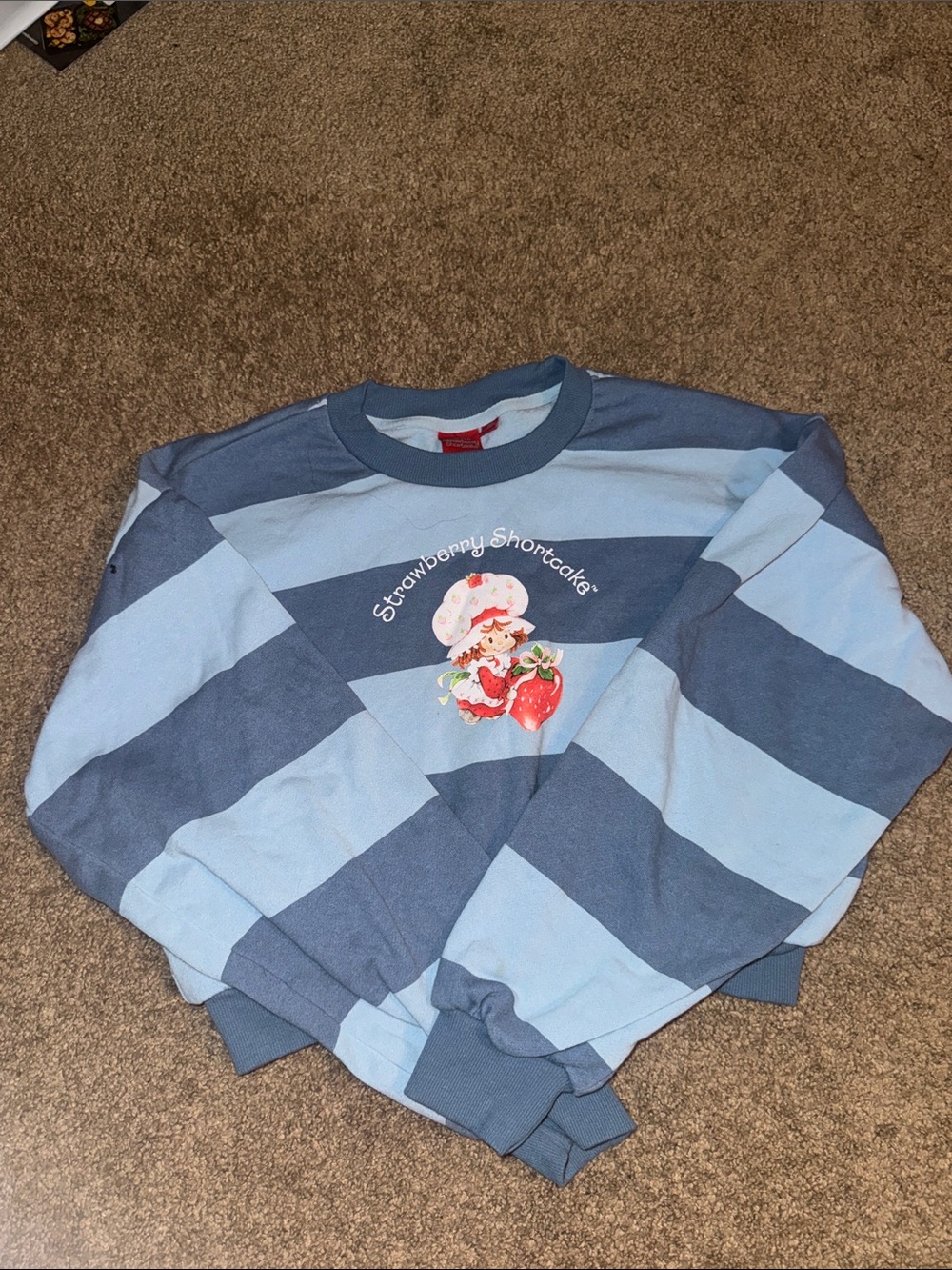 World of Strawberry Shortcake Blue Striped Crop Sweatshirt - Picture 3 of 4